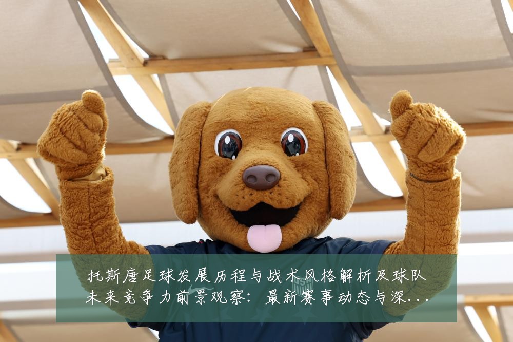 托斯唐足球发展历程与战术风格解析及球队未来竞争力前景观察:最新赛事动态与深度分析